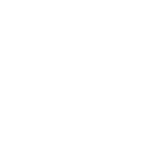Wordpress_website